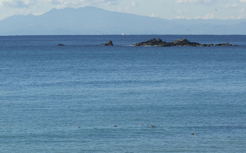 c0042548_20121131.jpg
