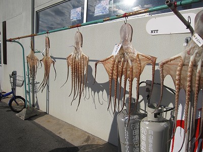 下津井へたこの干物を買いに あじさい通信 ブログ版 下津井へたこの干物を買いに あじさい通信 ブログ版