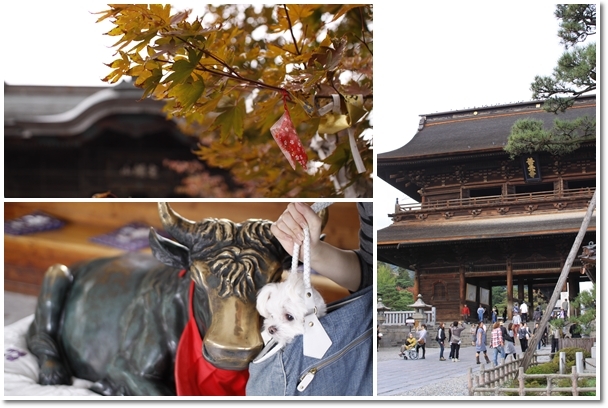 10月　長野～小布施、善光寺_d0208555_1153253.jpg