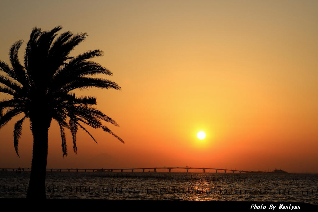 袖ヶ浦海浜公園からの夕陽　１　　 2012－01－08　　更新_e0229455_01648100.jpg