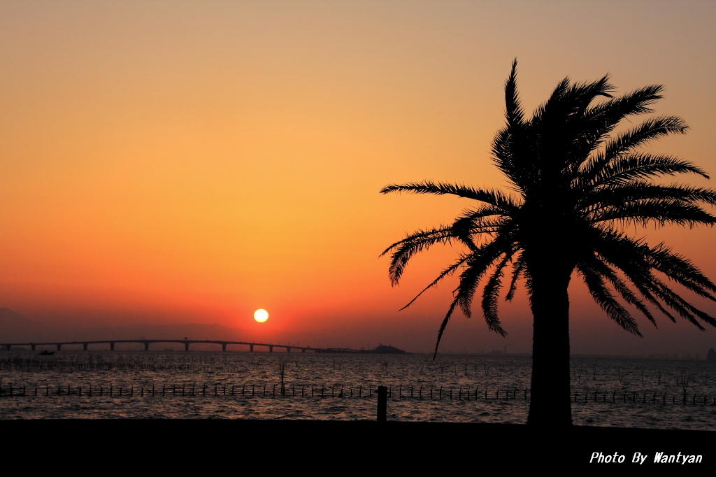 袖ヶ浦海浜公園からの夕陽　１　　 2012－01－08　　更新_e0229455_0171915.jpg