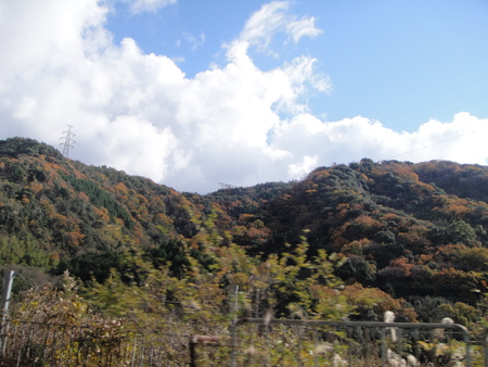 c0108460_15554841.jpg