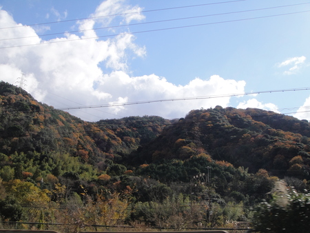 c0108460_15561618.jpg