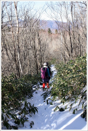 蛇峠山（1,663m） 2011年12月13日 【２】 山頂へ。そしてくまおの悲劇。_d0071563_1620658.jpg