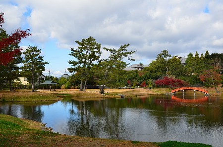 c0229483_040562.jpg