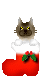 c0132387_2329064.gif