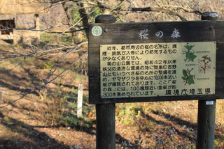 晩秋の簑山～落ち葉と美しい紅葉の路・・（10）　簑山山頂 『美の山公園』より♪_e0195587_23353369.jpg