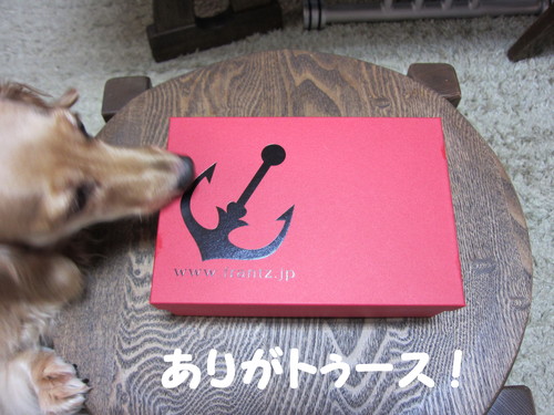 Frantz KOBE SWEETS 神戸フランツ_b0200291_182754100.jpg