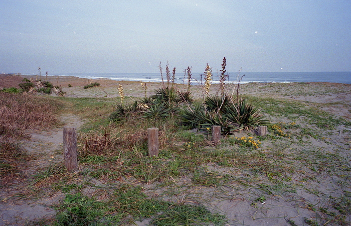 c0214494_939494.jpg