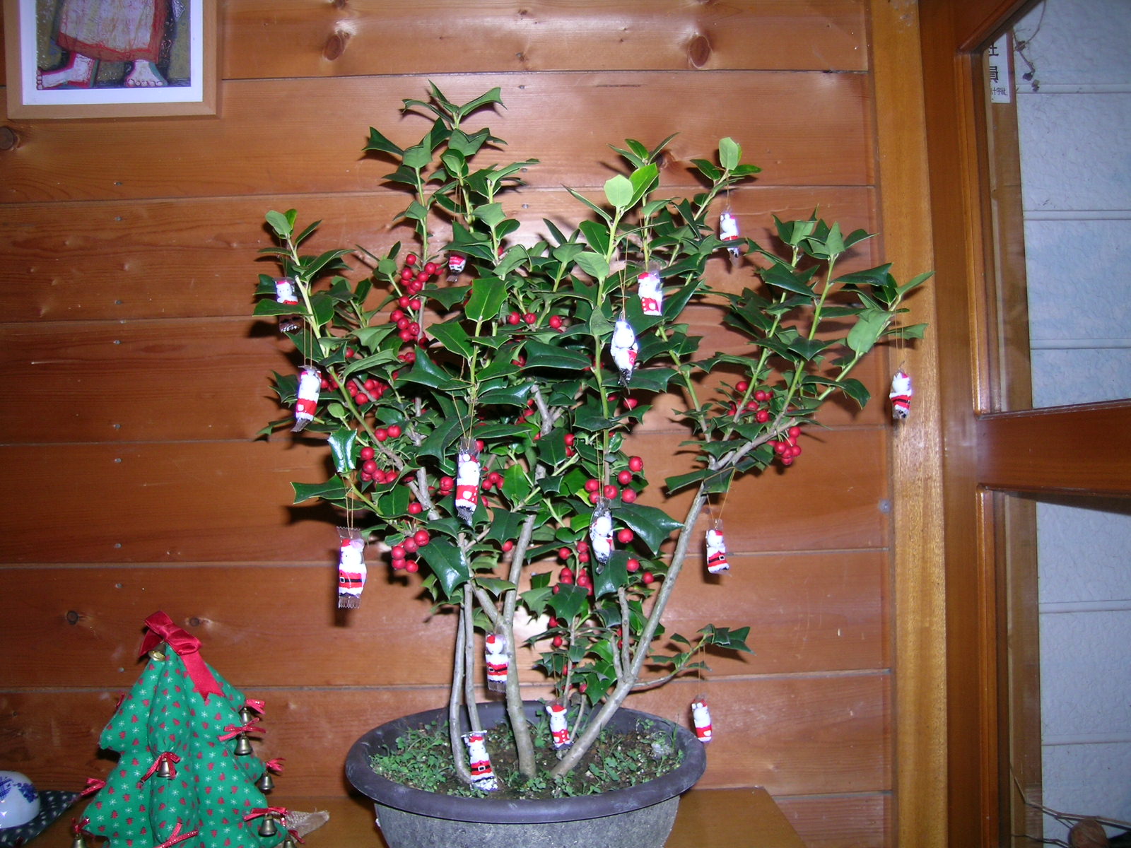 a0203003_16575935.jpg