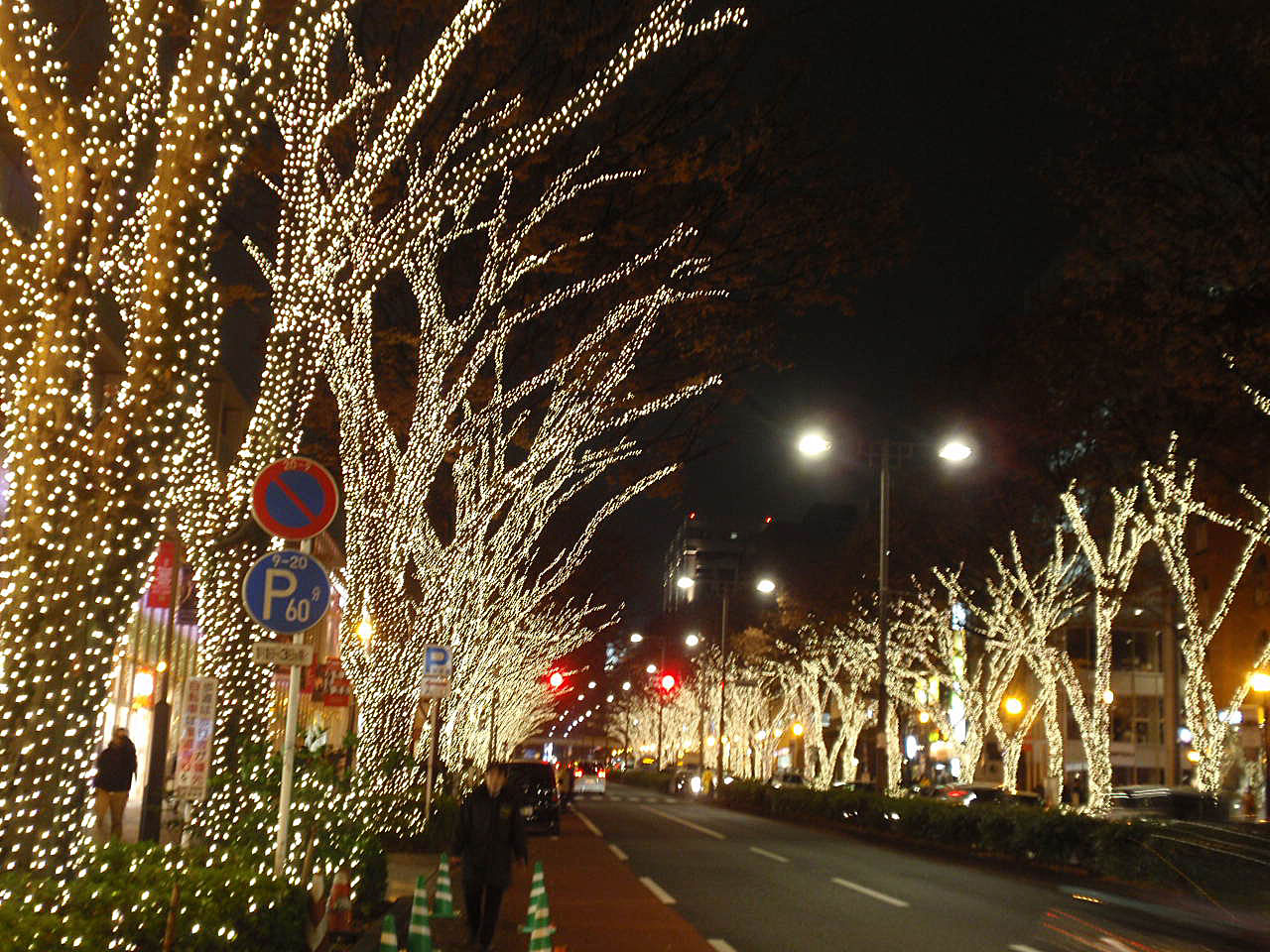 クリスマスの表参道 ぜひご一緒に 染一会 店主のつれづれ日記