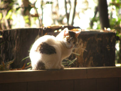 f0036603_21441360.jpg