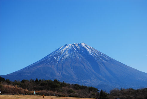 a0134306_2259889.jpg