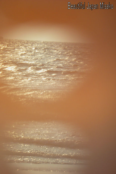 c0067206_171315.jpg