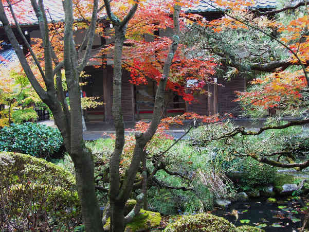 秋の京都　紅葉の寺　その4_d0154609_11574123.jpg