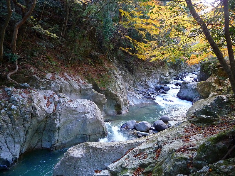 f0182513_2341012.jpg