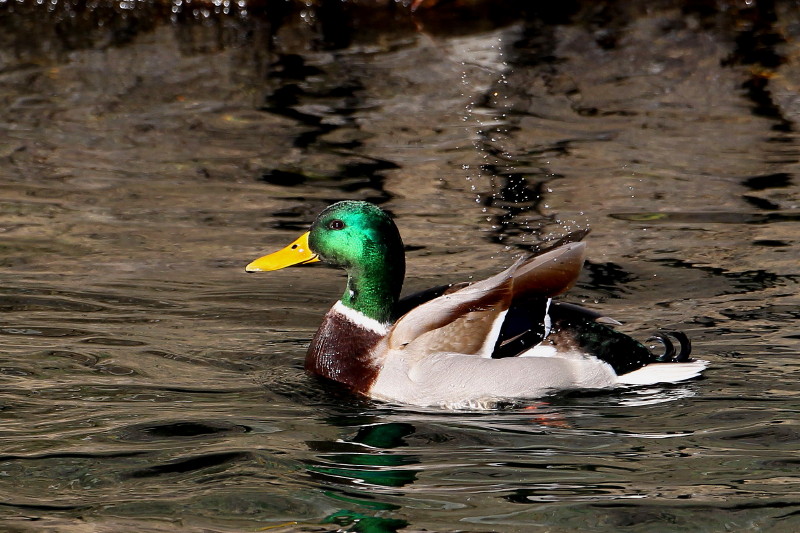 b0179023_20191319.jpg