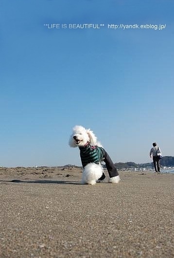 ルンルン気分_d0083623_2053447.jpg
