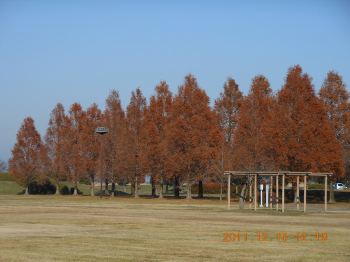 e0071225_23181215.jpg