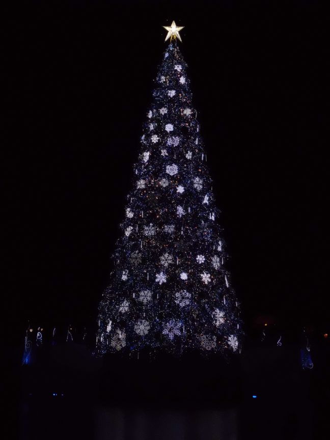 e0188325_20322592.jpg