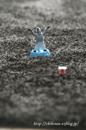e0216427_22173174.gif