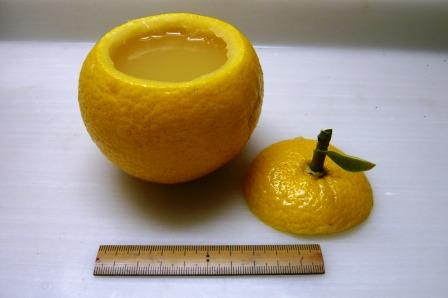 f0228831_01238.jpg