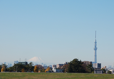 12インチの会、遅れてます。。。_d0082234_1634818.jpg