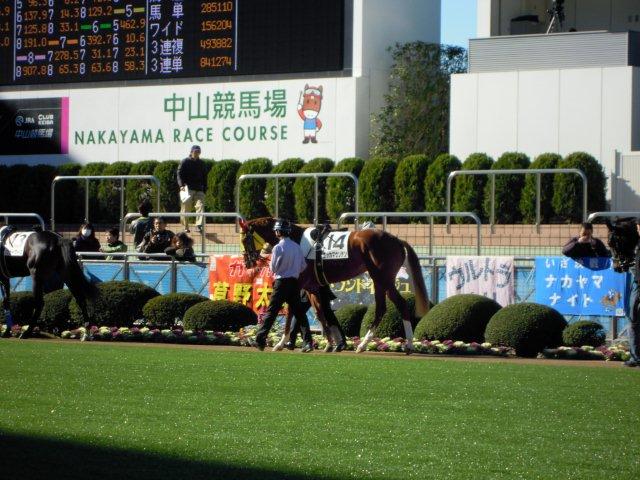 e0067640_9302685.jpg