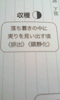 111218② 下弦の月の過ごし方_f0164842_104419100.jpg