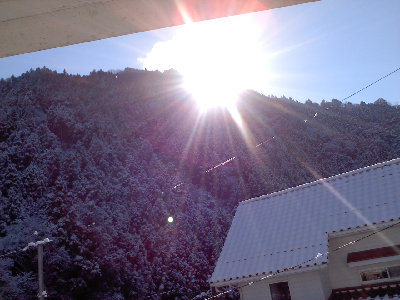 f0182246_1032566.jpg