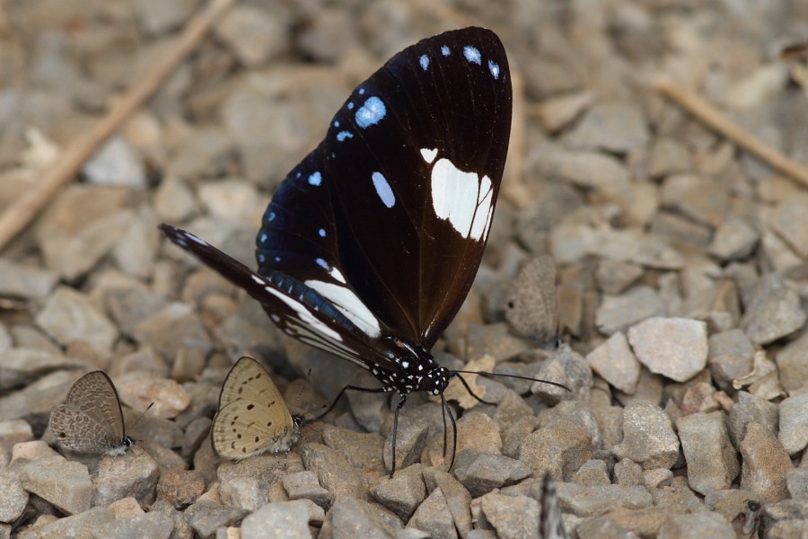 a0094850_2103188.jpg