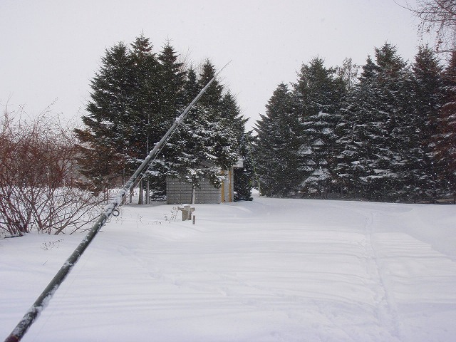 c0097652_16403328.jpg