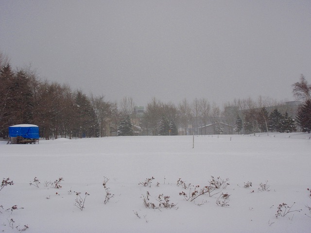 c0097652_164266.jpg