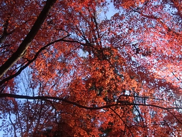c0113755_16144847.jpg