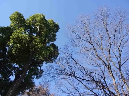 c0113755_16163047.jpg