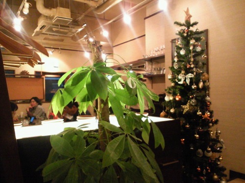 f0054859_221861.jpg