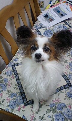 f0122259_20105999.jpg