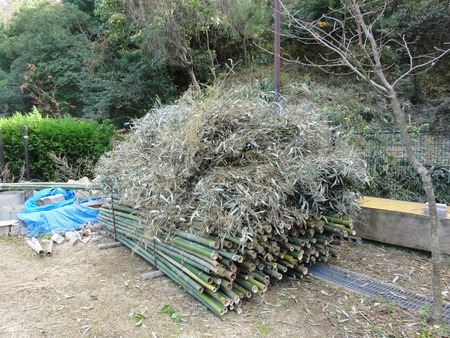 定例活動日:「井関川竹林」_c0108460_17181341.jpg