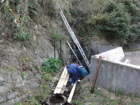 定例活動日:「井関川竹林」_c0108460_17245387.jpg