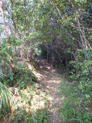 c0222861_19461338.jpg