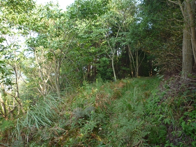 c0222861_19464258.jpg