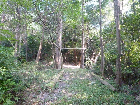 c0222861_19471260.jpg