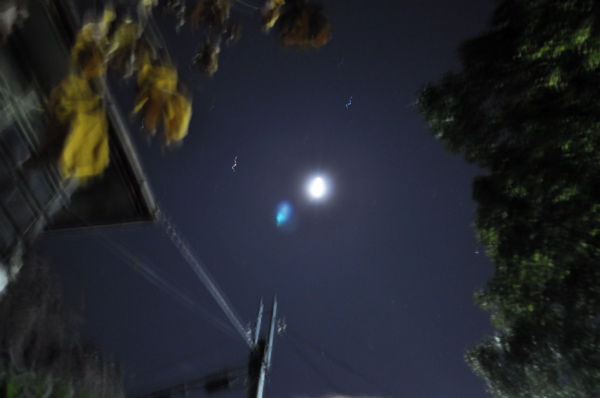 e0125762_12473929.jpg