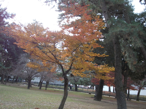 f0228664_1228274.jpg