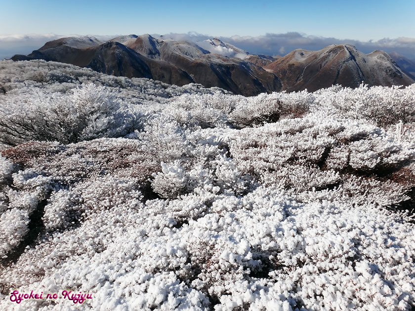 12月17日 大船山朝駆け _f0173067_15214213.jpg