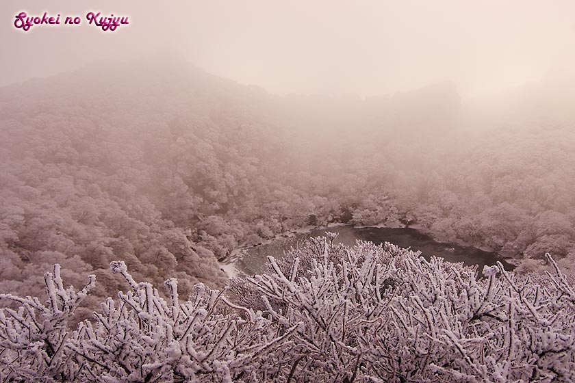 12月17日 大船山朝駆け _f0173067_1521815.jpg