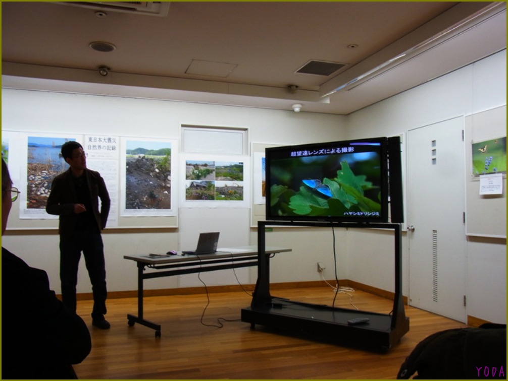 新宿御苑・保全協会の企画展に行ってきました。 2011.12.17_a0146869_523917.jpg