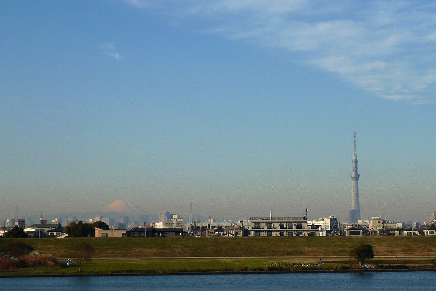 富士山・・・江戸川CR左岸_a0021270_11254155.jpg