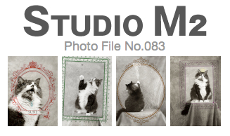 STUDIO M2 Photo File No.083「Prince SUKE」_a0002672_19111148.jpg