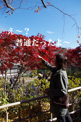 f0238772_1817751.jpg